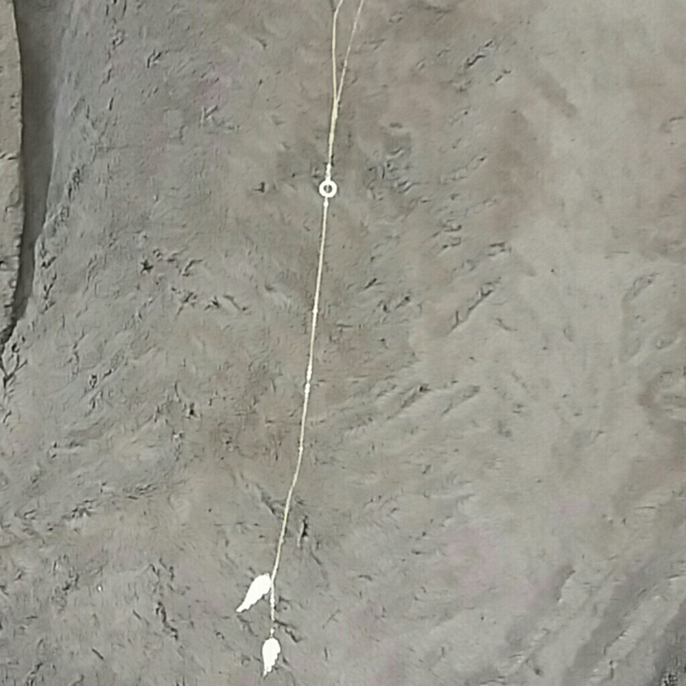 Victoria secret angel necklace